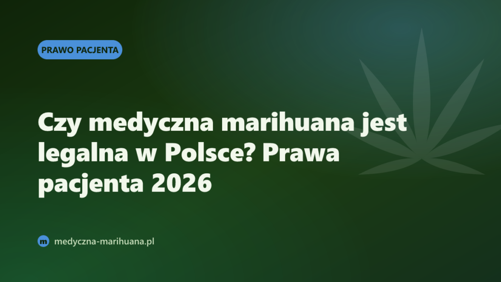 Czy medyczna marihuana jest legalna w Polsce? Prawa pacjenta 2026