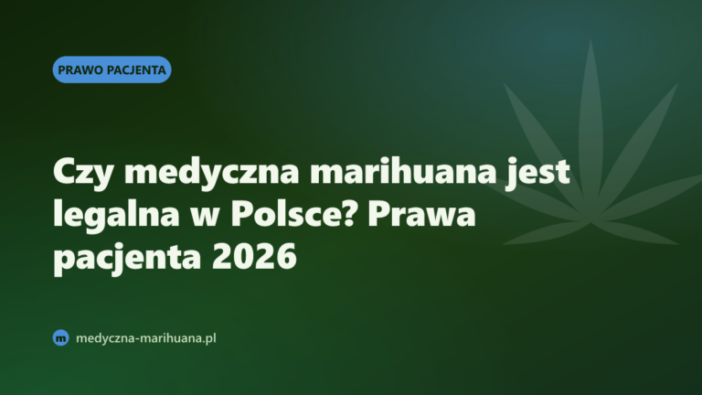 Czy medyczna marihuana jest legalna w Polsce? Prawa pacjenta 2026